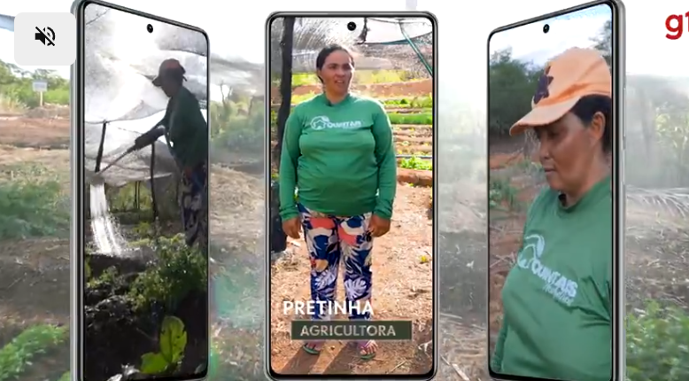 'Não conhecia rúcula, salsa, couve': como a agricultura mudou vidas em um deserto alimentar do Brasil